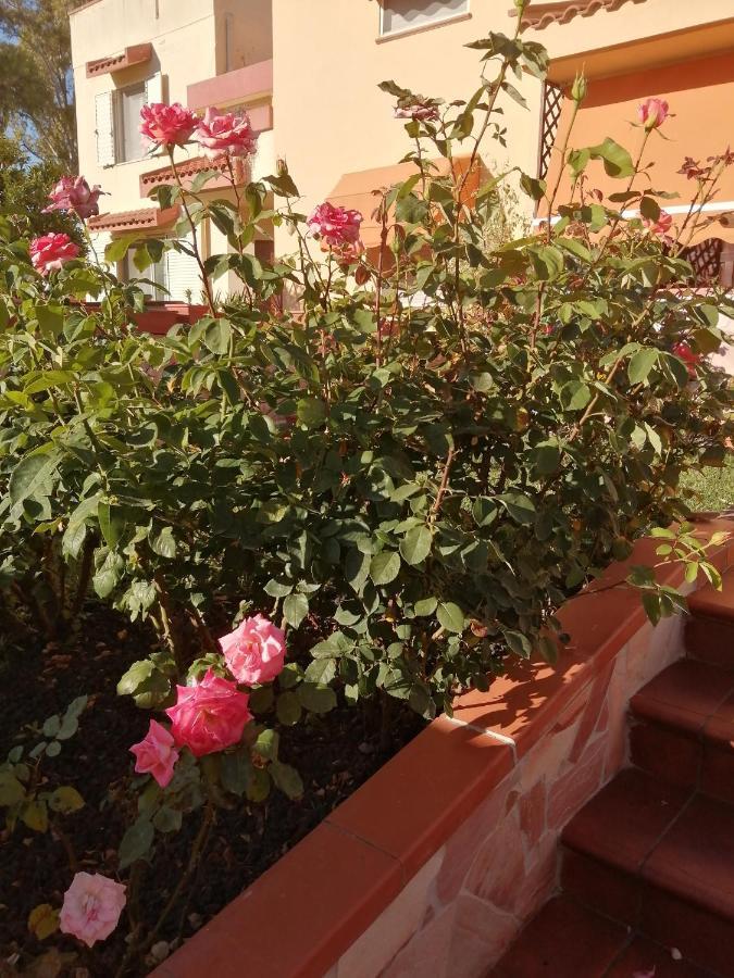 Domomea Hotel Quartu Sant'Elena Luaran gambar
